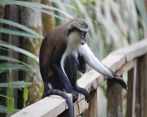 Lekki ruch w parku, spacer pośród drzew